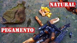 Cómo Hacer Pegamento Sólo Con Materiales Naturales [upl. by Egin]