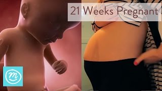 21 Weeks Pregnant What You Need To Know  Channel Mum [upl. by Yann]