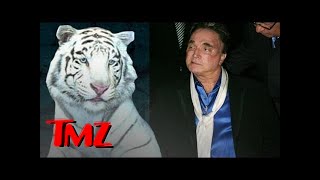 Siegfried amp Roy Tiger Manticore Dies  TMZ [upl. by Atelokin]