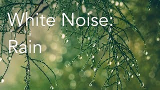 Rain Sounds for Relaxing Focus or Deep Sleep  Nature White Noise  8 Hour Video [upl. by Ailin]