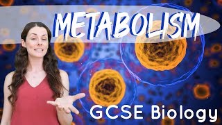 Metabolism  GCSE Biology [upl. by Suoinuj]