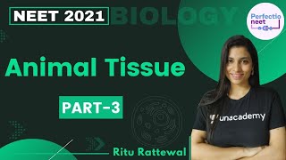 Animal Tissue  Part 3  NEET 2021  NEET Biology  Ritu Rattewal [upl. by Brooking815]