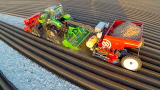 Potato Planting  DeutzFahr Agrotron 7250 TTV on RowCrop Tracks  Dewulf Miedema belt planter [upl. by Ynahteb]