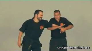 Kyusho Jitsu Gock´Ng ´Sing Evan Pantazi [upl. by Finnigan]