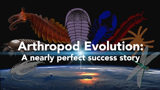 Arthropod Evolution A nearly perfect success story [upl. by Auqenet816]