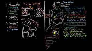 Hypertension artérielle  HTA  Docteur Synapse [upl. by Reddin]