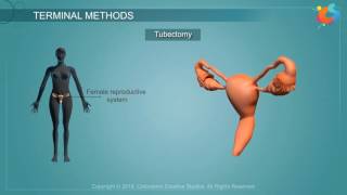 Terminal Methods [upl. by Valdemar]