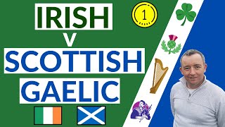 I Compare Irish amp Scottish Gaelic [upl. by Stanwinn437]