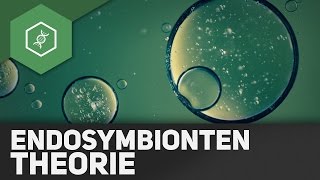 Endosymbiontentheorie [upl. by Xylia]