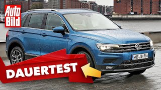 VW Tiguan 2020 Dauertest  SUV  Ratgeber  Info [upl. by Martineau]