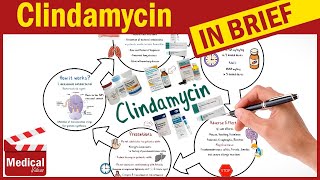 Clindamycin  Cleocin  What is Clindamycin Used For Dosage Side Effects amp Precautions [upl. by Aisined]