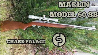 Marlin model 60 SB 22 Rifle Review [upl. by Lamp]