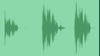 Gun Shot Sound Effects [upl. by Renwick]