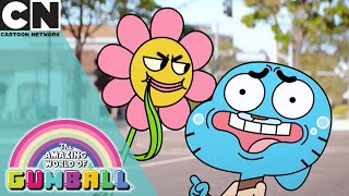 The Amazing World of Gumball  Gumball Gets Woke  Cartoon Network [upl. by Novla]