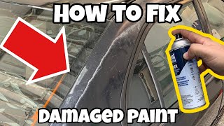 The CHEAPEST Way to Permanently Fix Peeling Paint [upl. by Faber]