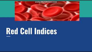 RBC Indices [upl. by Derfliw]