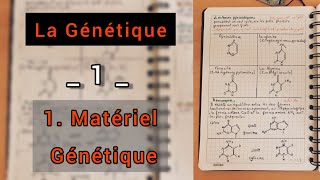 Génétique🧬 Le matériel génétique [upl. by Wiltshire]