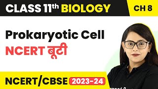 Prokaryotic Cell NCERT बूटी  Cell The Unit of Life  Class 11 Biology [upl. by Jestude790]