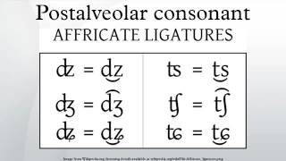 Postalveolar consonant [upl. by Annaeg]