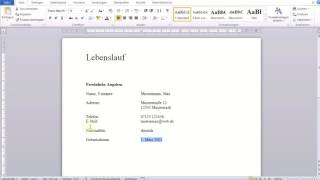 Einfacher tabellarischer Lebenslauf in Word [upl. by Lia]