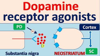 Dopamine receptor agonists for Parkinson Disease PD [upl. by Philipson915]