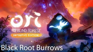 Ori and the Blind Forest Definitive Edition Walkthrough Black Root Burrows [upl. by Namso]