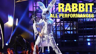 Rabbit All Performances amp Reveal Masked Singer [upl. by Germano]