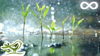 Raindrops • Relaxing Piano Music with Tropical Rain Sounds for Sleep Work or Meditation [upl. by Seroka]