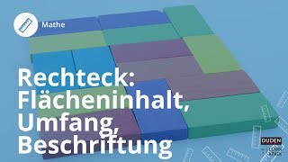 Rechteck Flächeninhalt Umfang und Beschriftung  Mathe [upl. by Davey106]