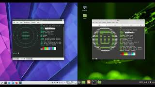 KDE NEON VS Linux Mint 201 [upl. by Leirraj]