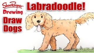 How to draw a Labradoodle [upl. by Bobbe]