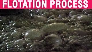 Froth Flotation Process  Mineral Processing  Froth Flotation Video [upl. by Oakie648]