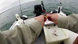 Fishing from Inflatable Dinghy part 1 [upl. by Teagan]