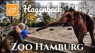 Tierpark Hagenbeck Zoo Hamburg Hamburg Germany [upl. by Ula]