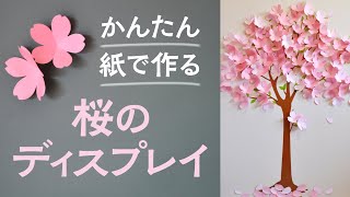 かんたん紙で作る桜のディスプレイ（音声解説あり）How to make a simple paper cherry blossom decoration [upl. by Carman]