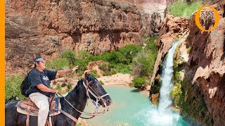 Havasupai tribe Native American Indian guardians of the Grand Canyon [upl. by Tammie821]