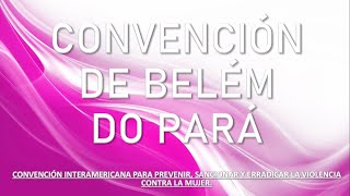 Convención de Belém Do Pará explicación y resumen [upl. by Serafine473]