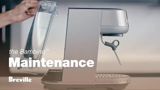 The Bambino™  How to clean your machine with ease  Breville USA [upl. by Hammel]