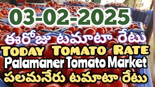 పలమనేరు 🍅🍅🍅టమాటో మార్కెట్ ధరలు 03022025 ఈ రోజు టమోటా ధర Palamaner Marketckgowthamvlogs [upl. by Inanaup559]