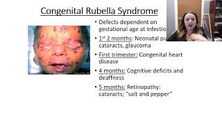 Rubella video [upl. by Elrem189]