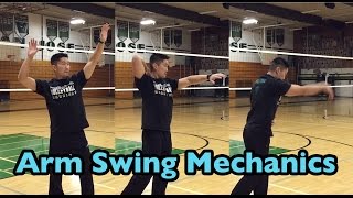 Arm Swing Mechanics  3 Motions part 12  How to SPIKE a Volleyball Tutorial [upl. by Wedurn226]