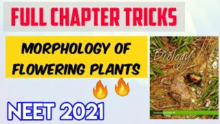 Plant Morphology Full Chapter Tricks  Neet Possible Tricks Series  Target Neet [upl. by Inal816]