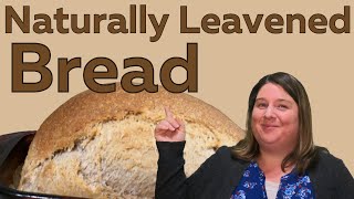 How To Make Naturally Leavened Bread [upl. by Gui]