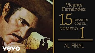 Vicente Fernández  Al Final Tema Remasterizado Cover Audio [upl. by Ynamreg496]