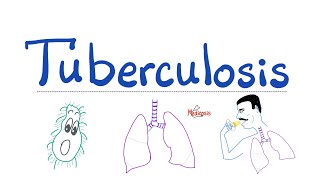 Tuberculosis TB  The Most Comprehensive Explanation  Respiratory Pathology  Pulmonology Series [upl. by Chelsea]