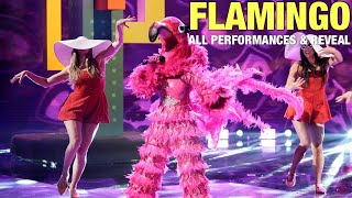 The Masked Singer Flamingo All Clues Performances amp Reveal [upl. by Culberson]