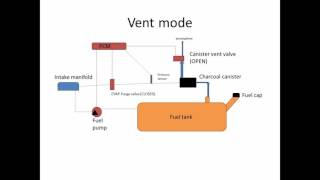 6Speeds Lectures How your EVAP system works [upl. by Acsisnarf]