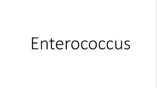 Enterococcus  Microbiology [upl. by Anagnos]