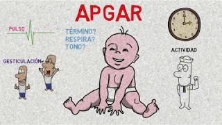 Test de APGAR  Calificación de APGAR [upl. by Nele]