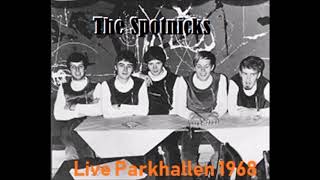 The Spotnicks live Parkhallen Tranås 1968 [upl. by Llenrrad]